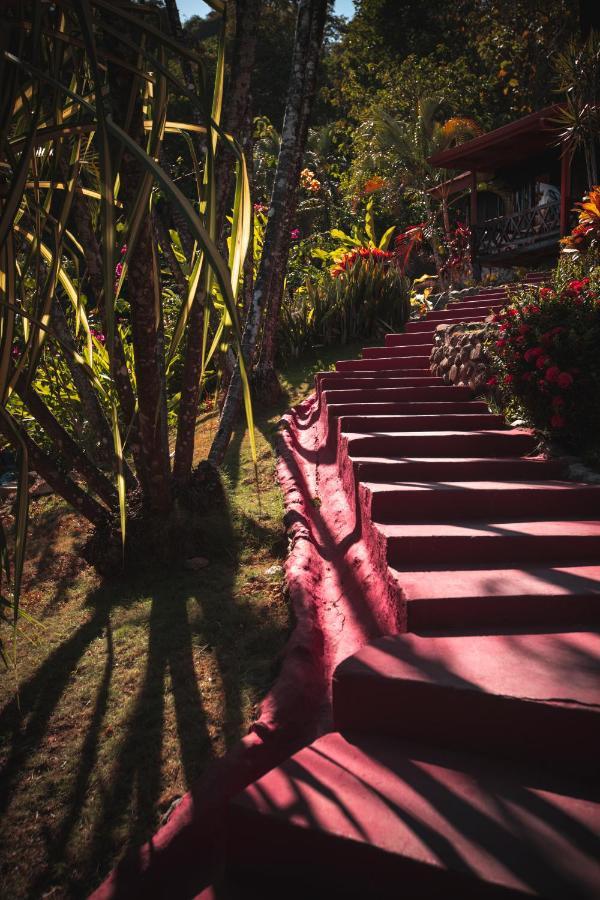 Hotel El Jardin Montezuma Εξωτερικό φωτογραφία